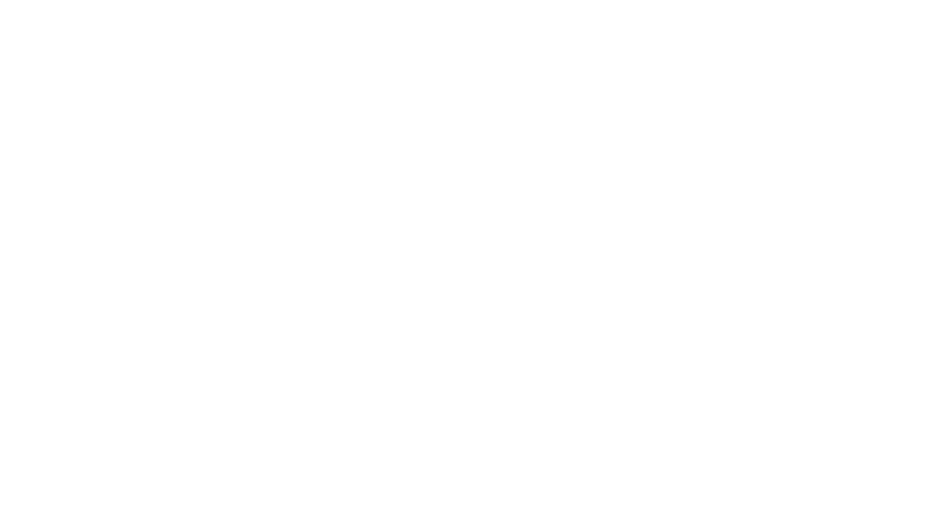 NudgeMe IT Solutions Logo – Managed Security für KMU